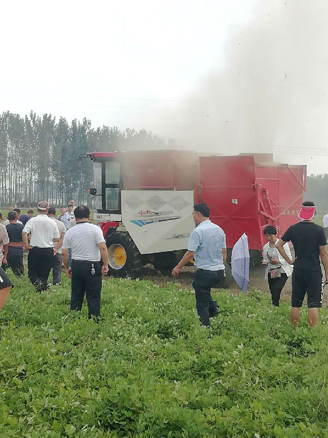 郏县现场人口_郏县豆腐菜图片