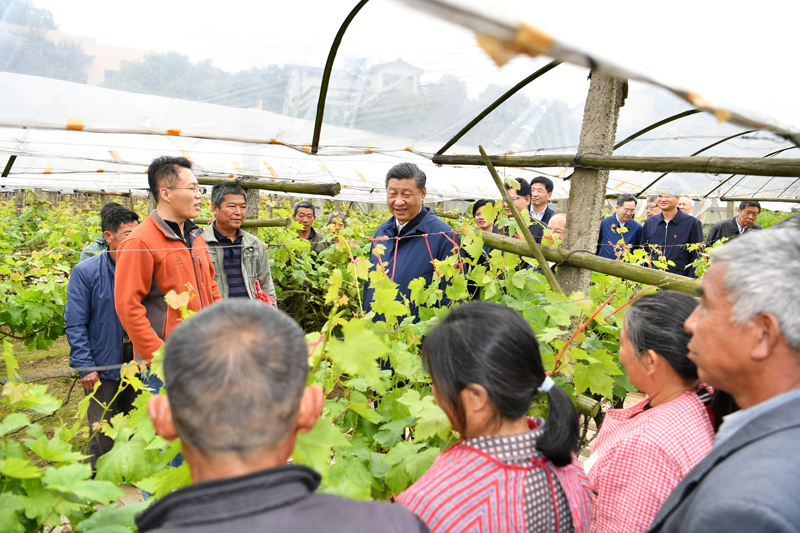 【ag九游会】习近平在广西考察(图35)